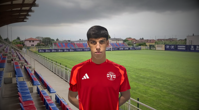 Comunicato Ufficiale, Luca Gozzo