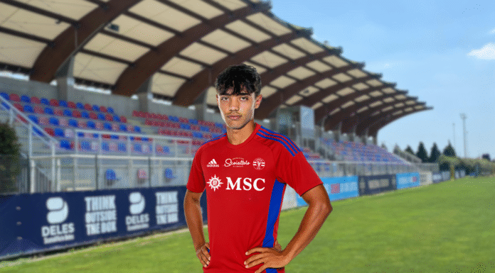 Comunicato Ufficiale, Nico Valisena